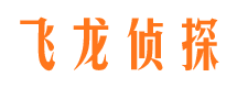 迎泽市私家侦探